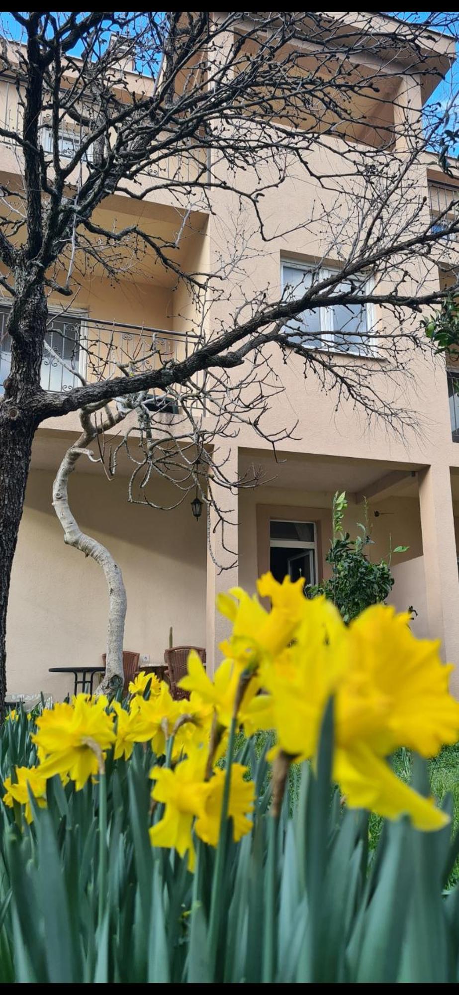 Casa M Apartment Тиват Екстериор снимка